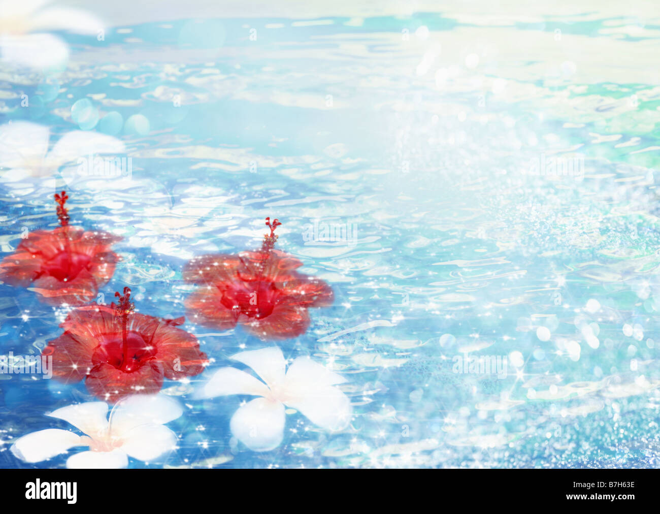 Tropical resort graphics hi-res stock photography and images - Alamy