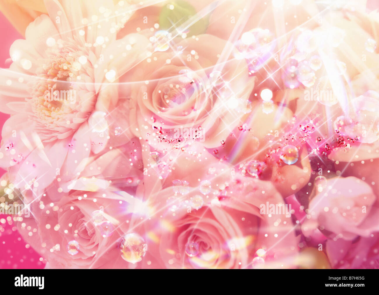 Drift of pink flowers hi-res stock photography and images - Alamy