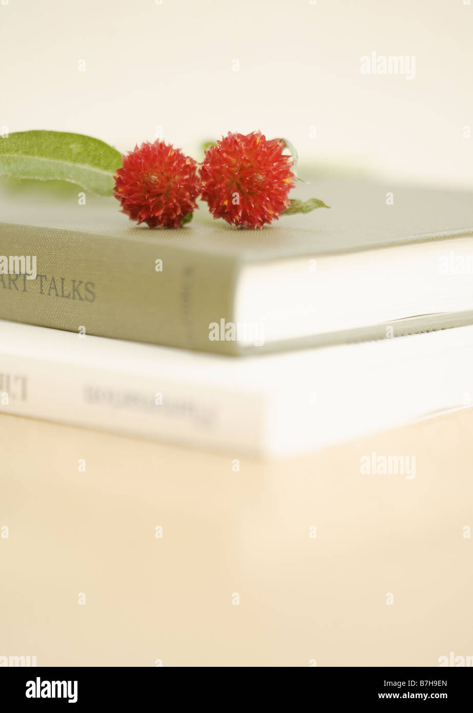 Globe amaranth on books Stock Photo