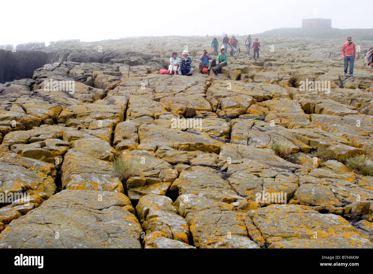 Tourists on Staple Island, Farne Islands, UK Stock Photo