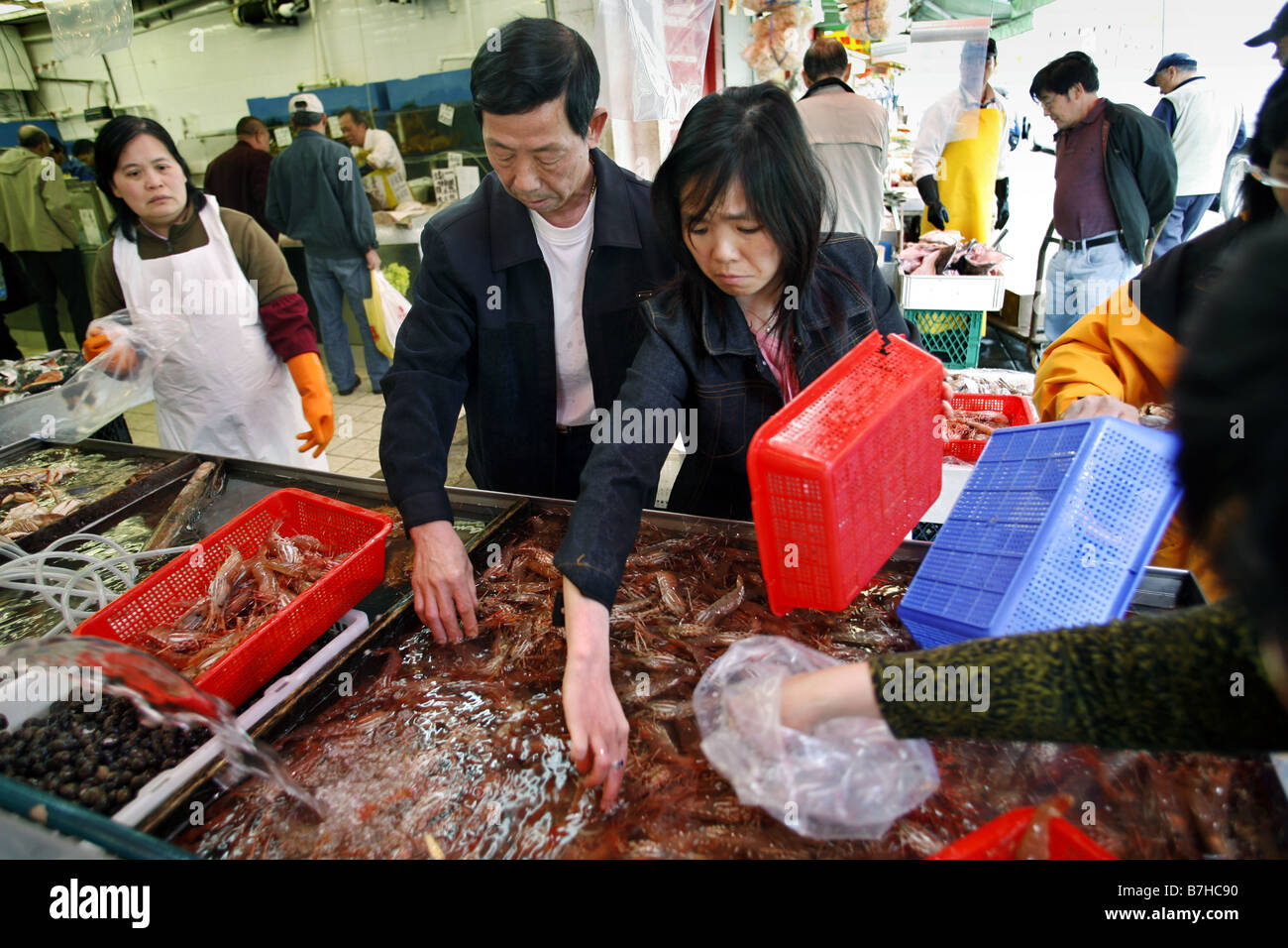 Fish Market, Chinatown, Vancouver, British Columbia, Canada Stock Photo ...