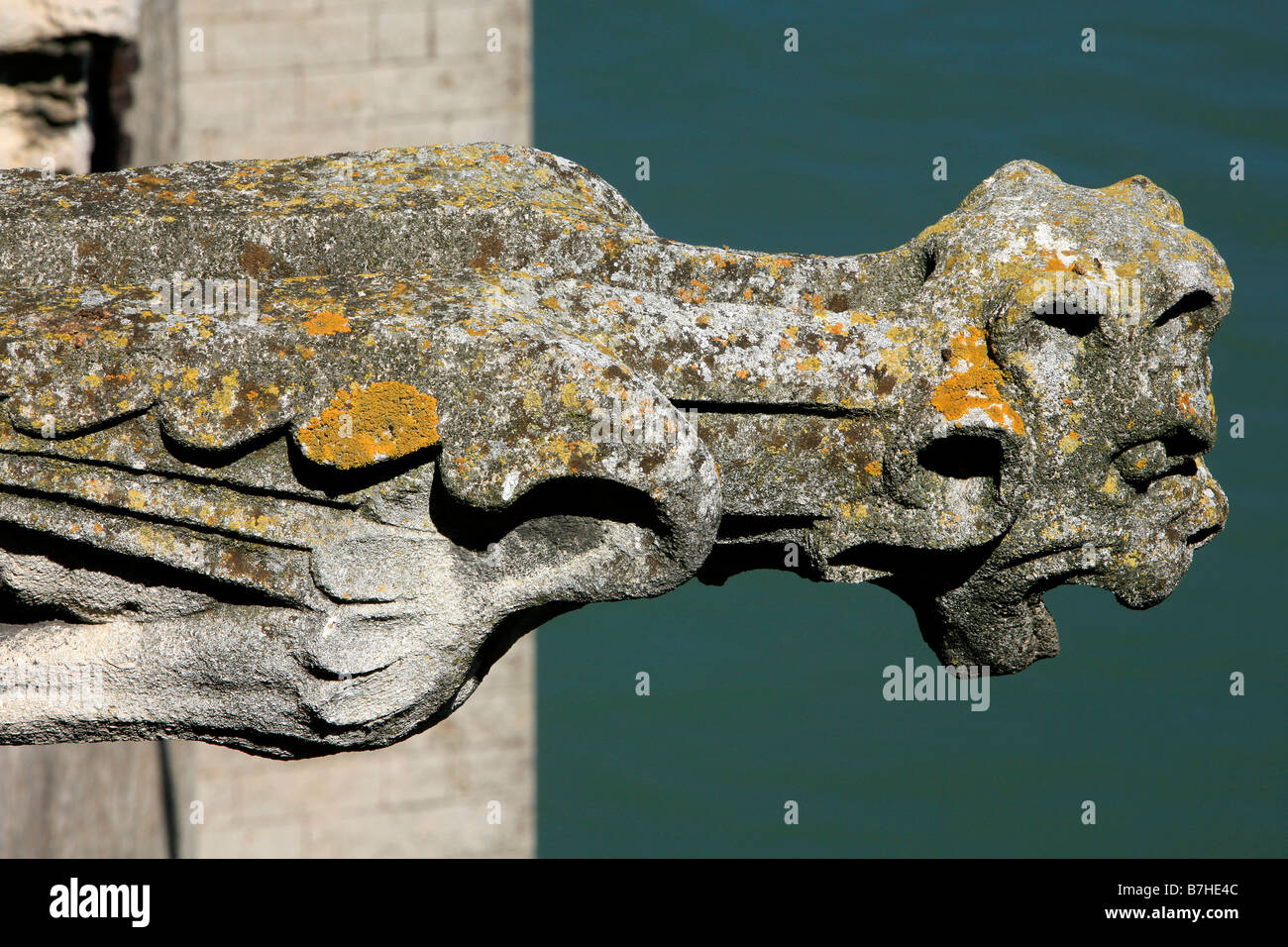 Close-up of a gargoyle on the facade of the 15th century castle of King René (1409-1480) in Tarascon, France Stock Photo