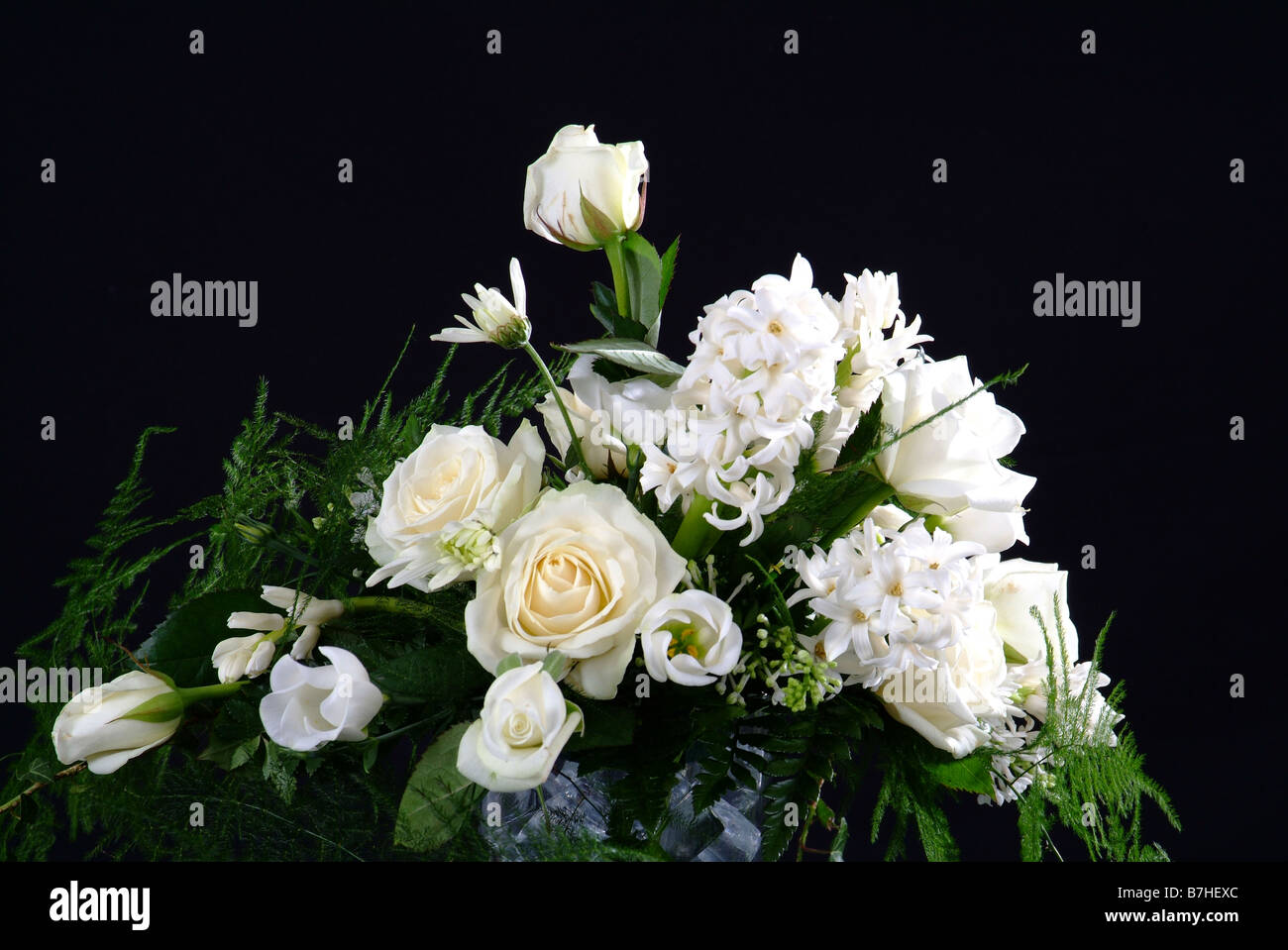 Flowers in a vase shot against a black background Stock Photo - Alamy