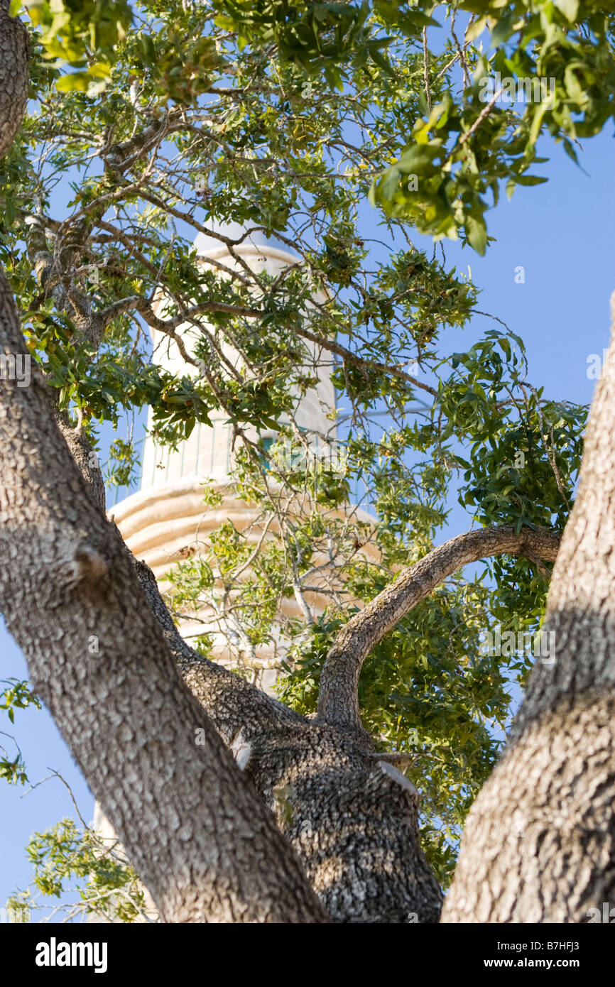 Silhouette of Hala Sultan Tekkesi mosque yellow stone minaret through green leaf tree near Larnaca, Cyprus Stock Photo