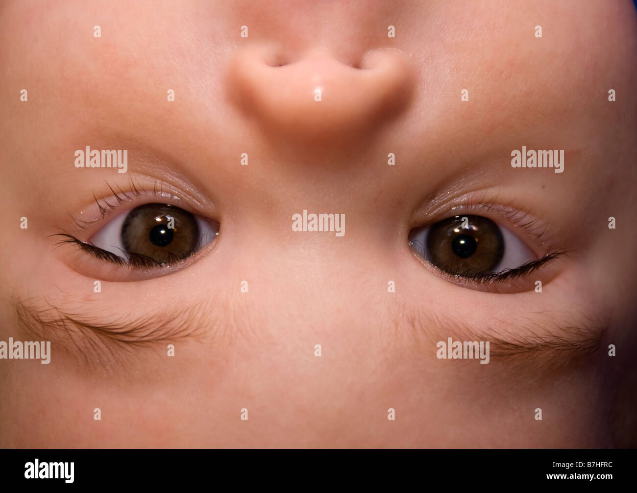 LIttle girl looking into camera Stock Photo - Alamy