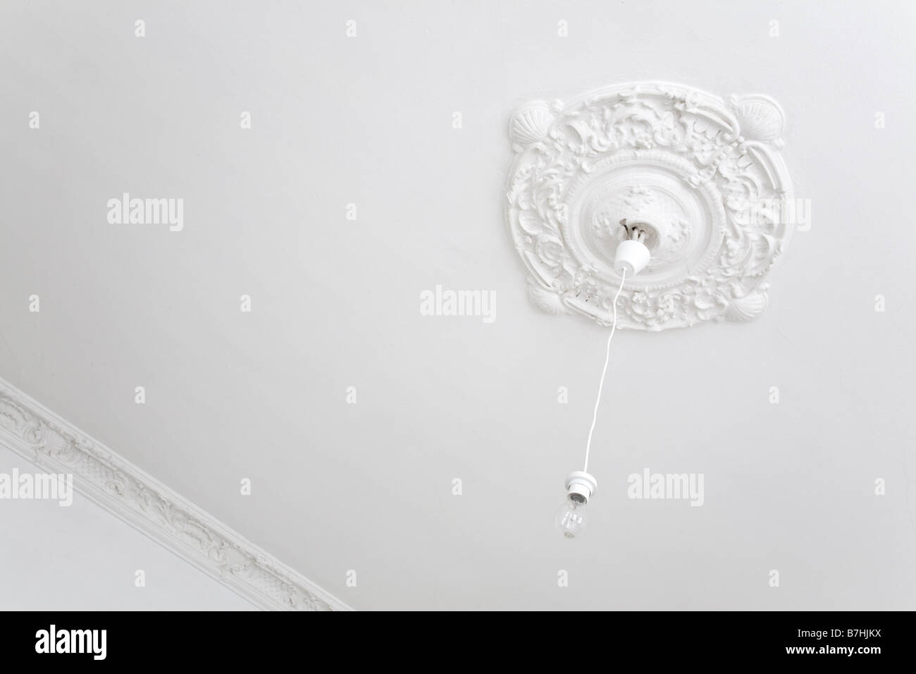 ceiling rose and lightbulb Stock Photo