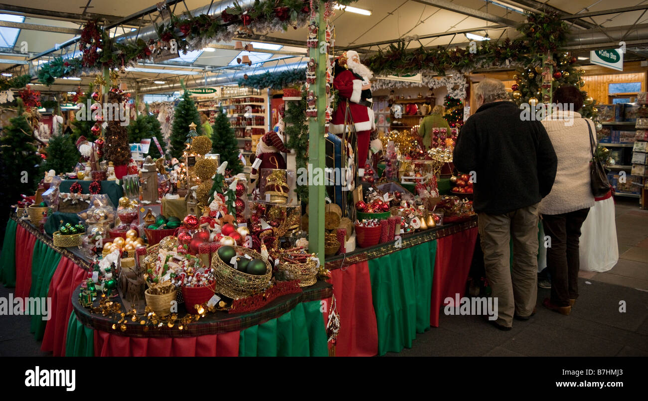 Kelso Scotland UK Christmas local garden centre shopping Stock Photo