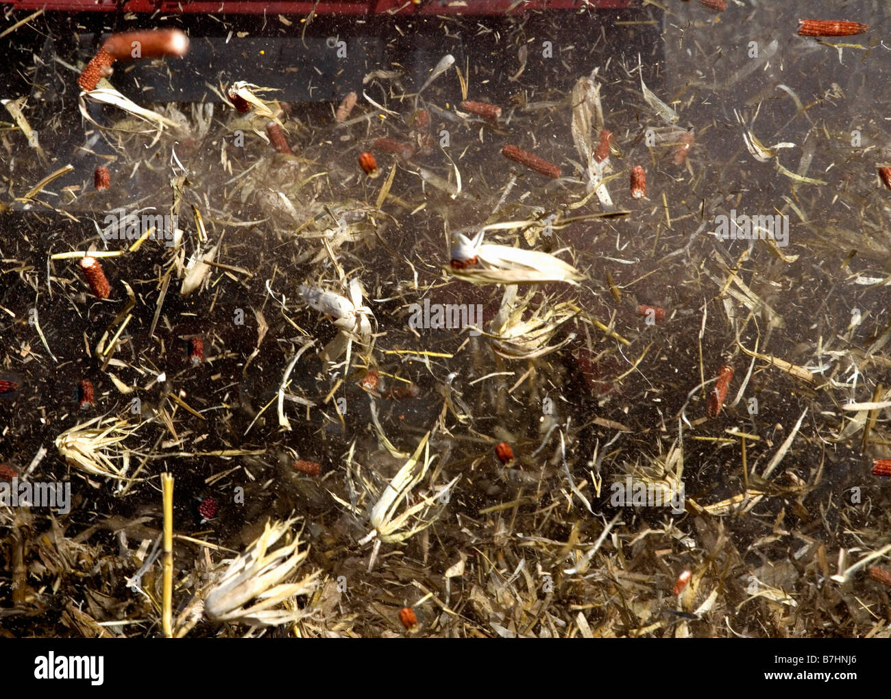 Exhaust from a corn combine is shown. Stock Photo