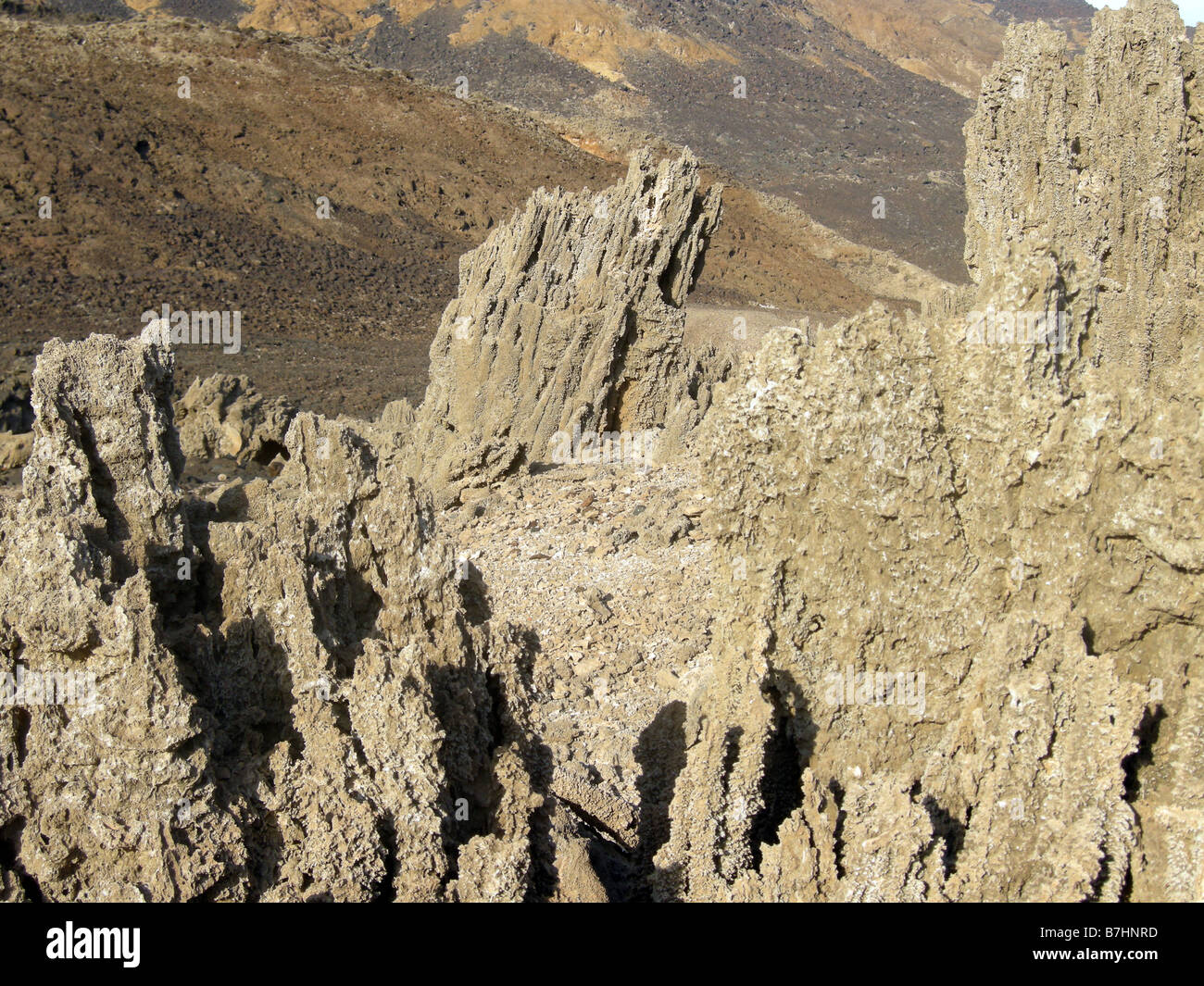 Geothermal vent chimneys exposed in the desert near lake Assal, Djibouti, Africa. Stock Photo