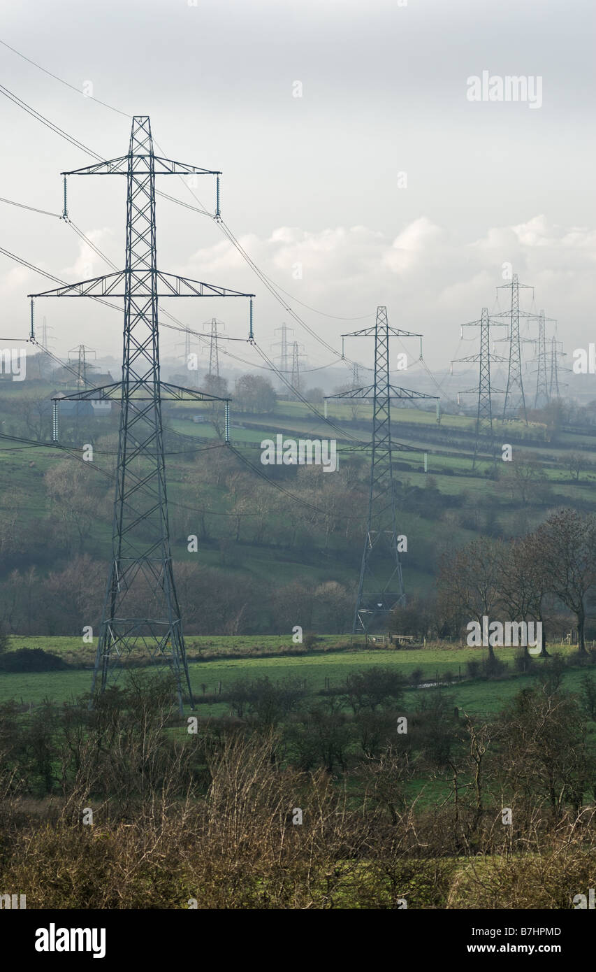 Cross country power lines from Kilroot Power Station County Antrim. Stock Photo