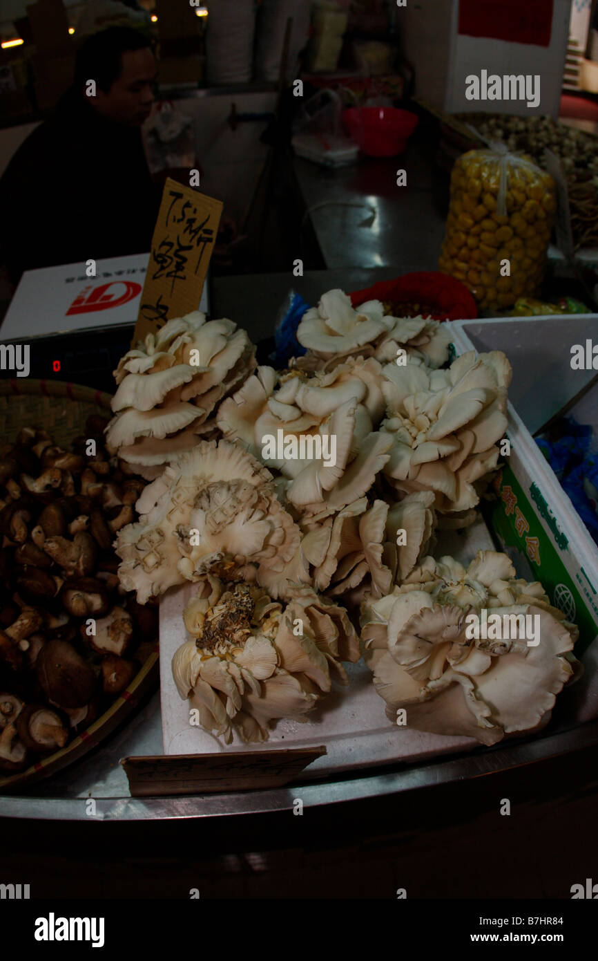 Various Chinese Mushrooms on sale at a Chinese market Stock Photo