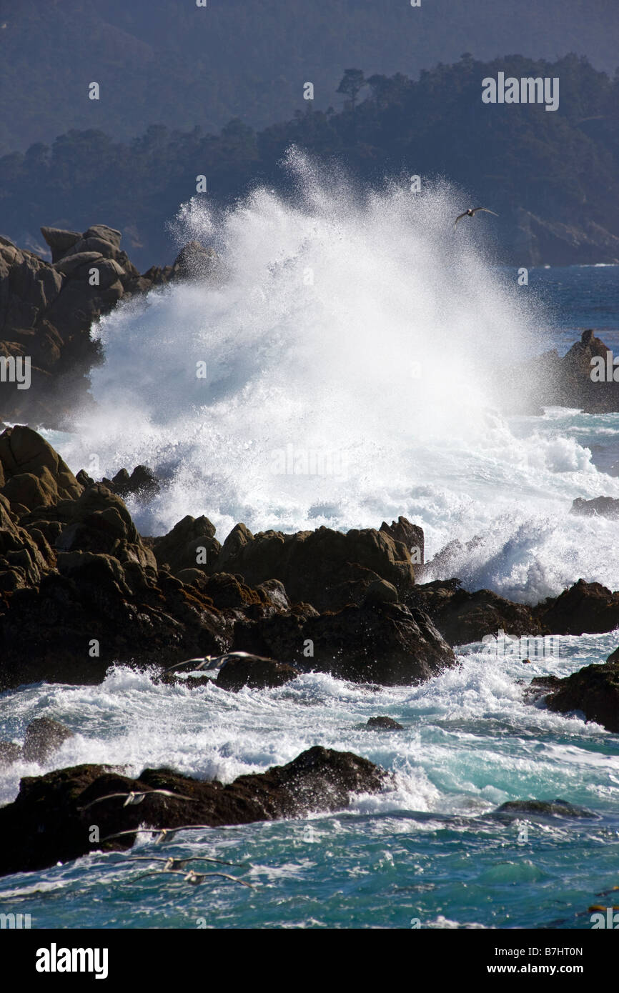 Pacific Ocean waves crashing ashore at Cypress Point Lookout, Pebble Beach, Monterey Peninsula, California, USA Stock Photo