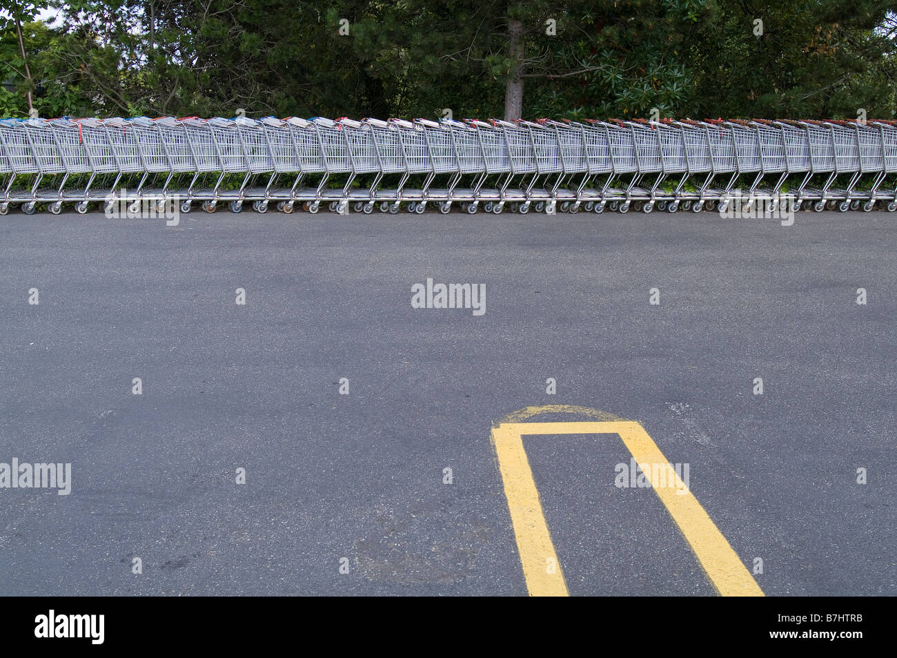 Shopping carts lined up in parking lot. Stock Photo