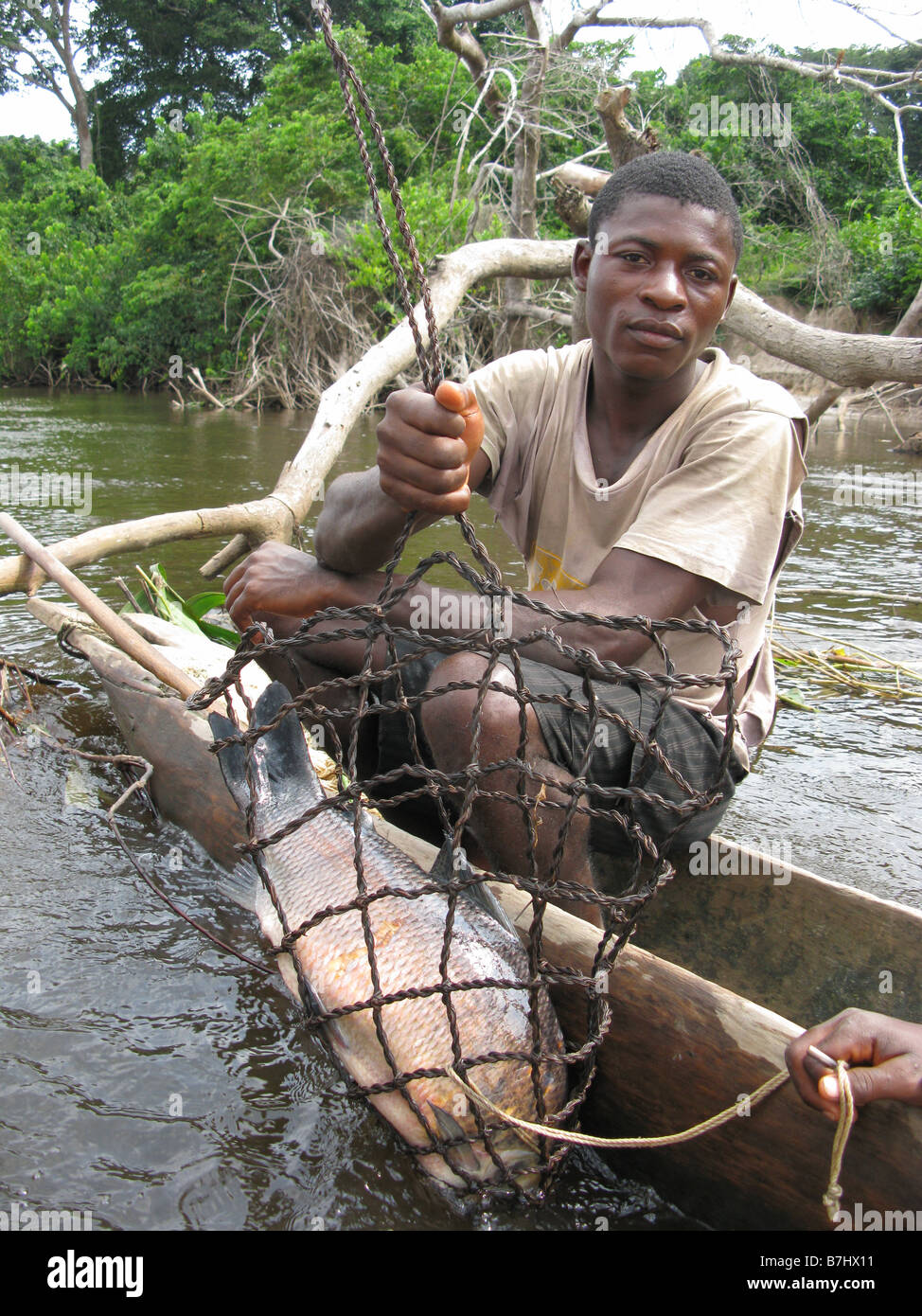 Congo River fisherman in dugout canoe with a Carp or sucking fish in spring  snared fish trap Democratic Republic of Congo Stock Photo - Alamy