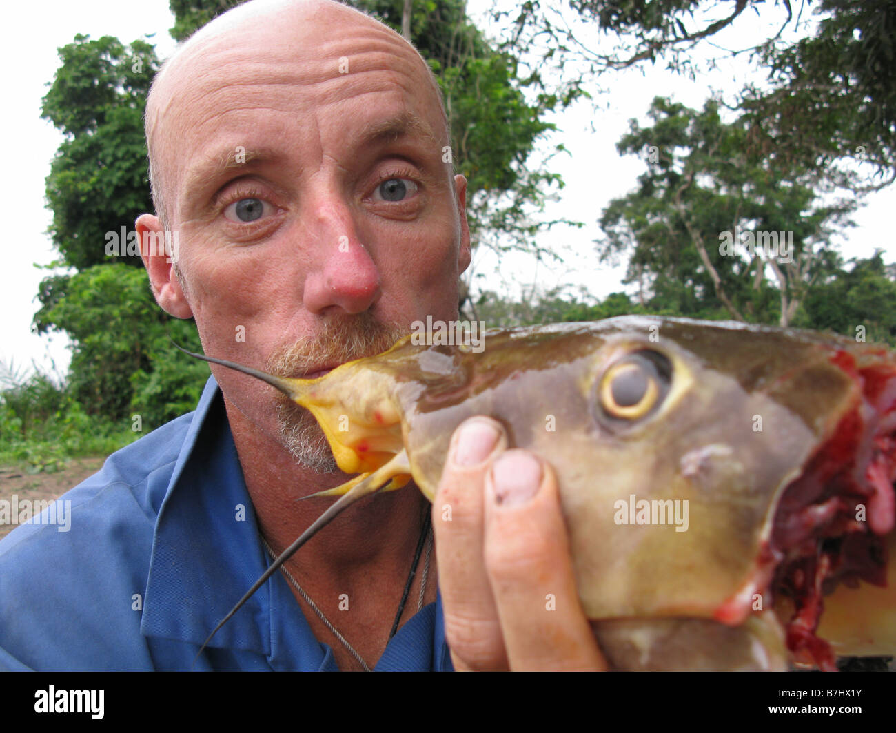 Phil Harwood white caucasian man kissing large catfish head from Congo River Democratic Republic of Congo Stock Photo