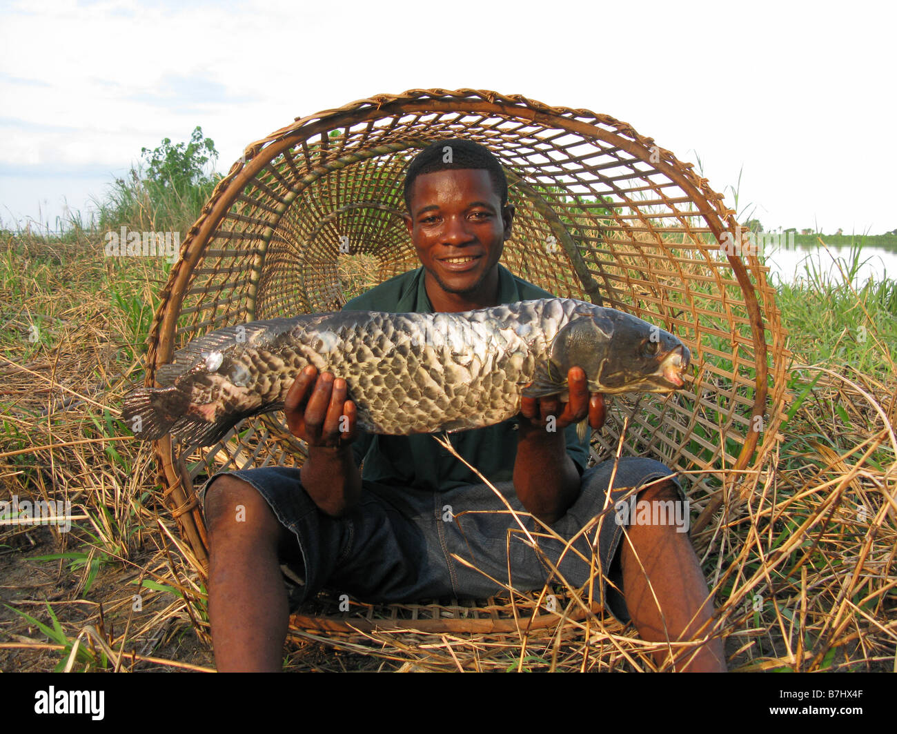 Congolese fisherman in mouth of conical fish trap with large fish on Lower Congo River  Democratic Republic of Congo Stock Photo