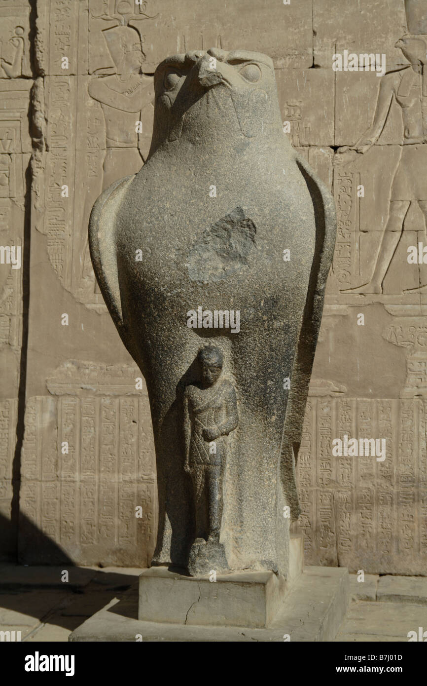 Falcon statue of the god Horus first pylon, at the temple of Horus. Luxor, Egypt. Stock Photo