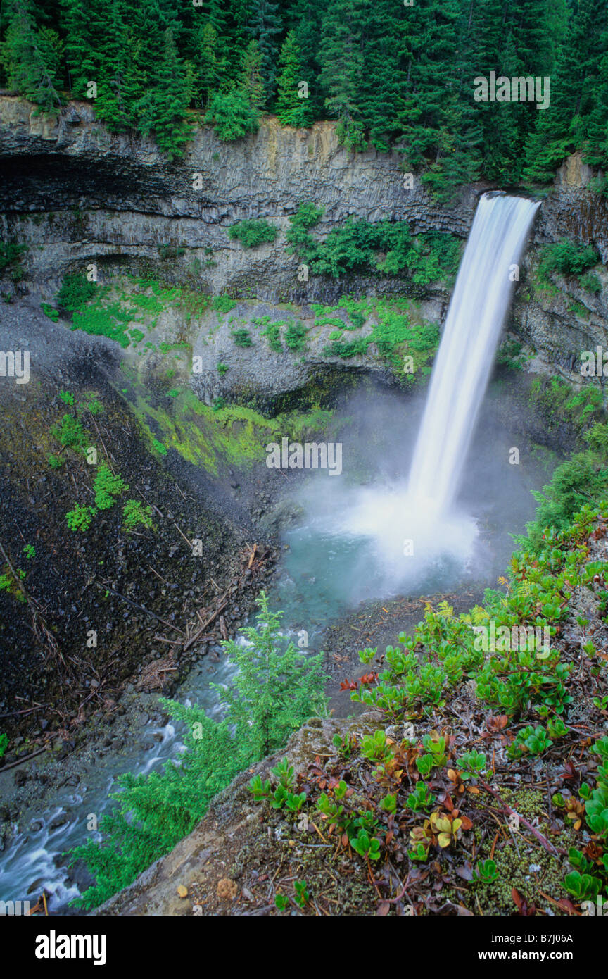 Brandywine Falls, near Whistler, with kinnikinnik plant in front Stock