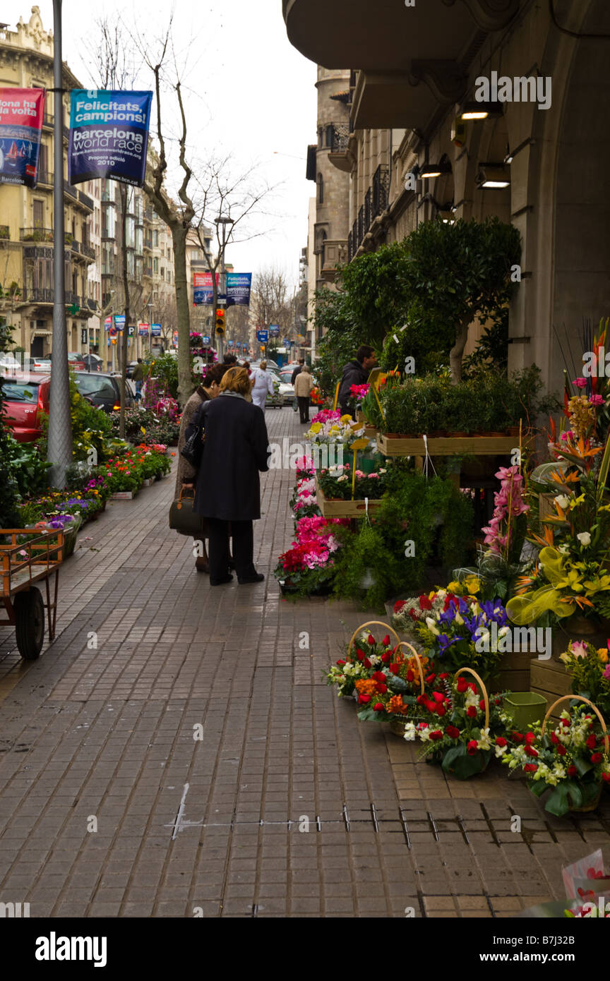 Flower market in Barcelona Stock Photo Alamy