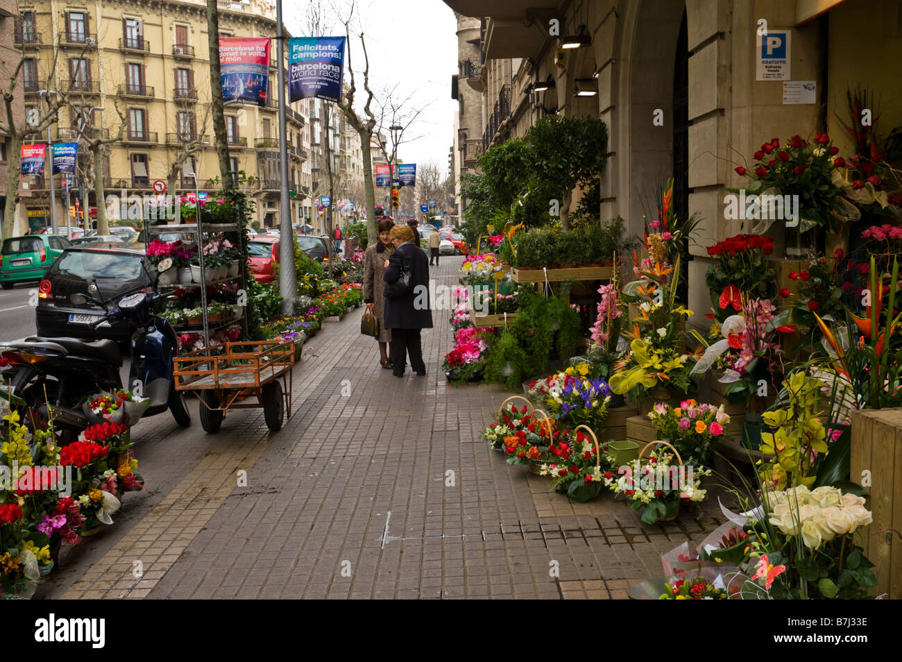 Flower market in Barcelona Stock Photo Alamy