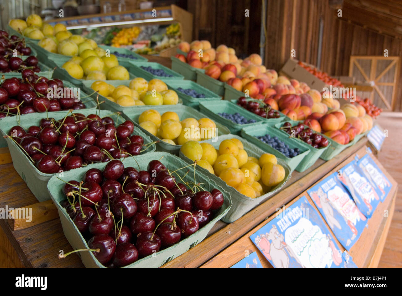 Fresh fruit at a roadside fruit stand, Keremeos, BC, Canada Stock Photo
