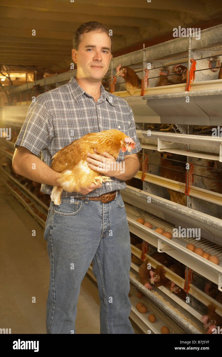 Farmer holding chicken at a chicken farm, Waterford, Ontario Stock