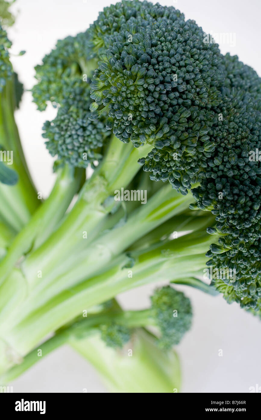 Bunch of broccoli Stock Photo Alamy
