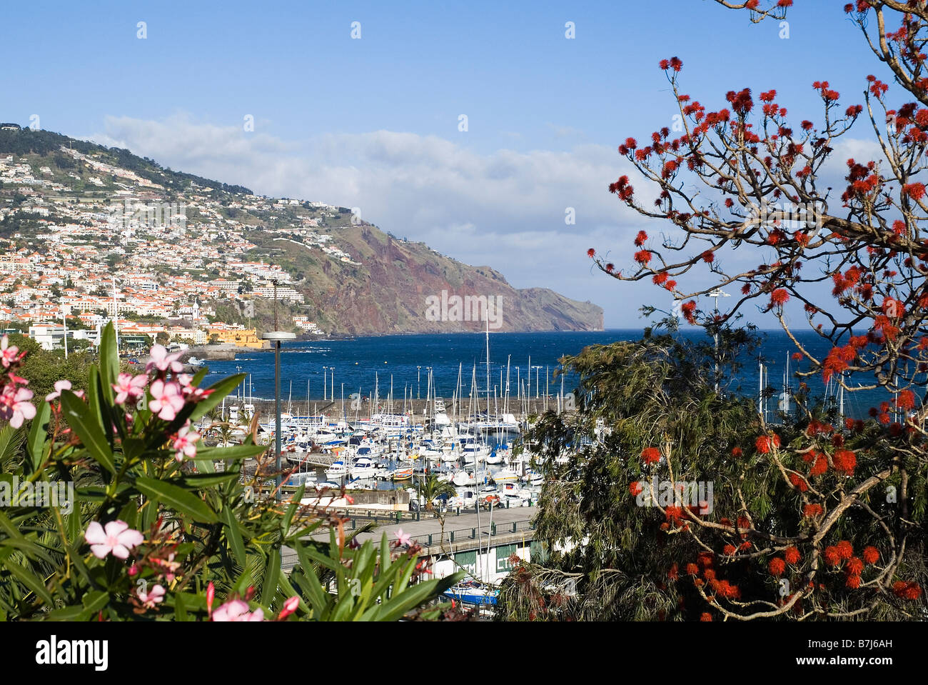 dh Parque de Santa Catarina FUNCHAL MADEIRA Marina waterfront flower plants and bay harbour view gardens Stock Photo