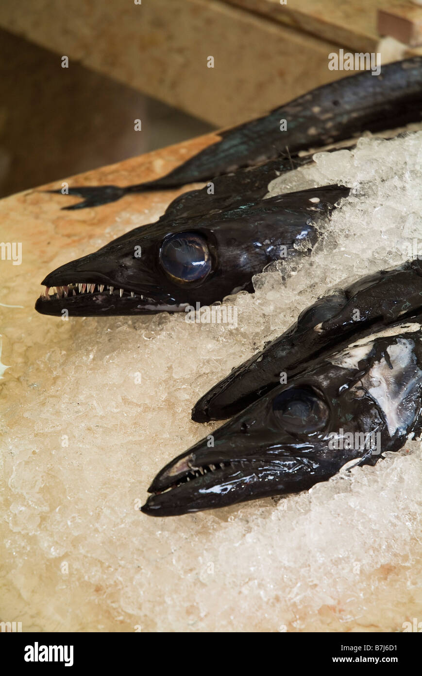 dh Espada FISH MADEIRA Black scabbard fish on ice market stall Stock Photo