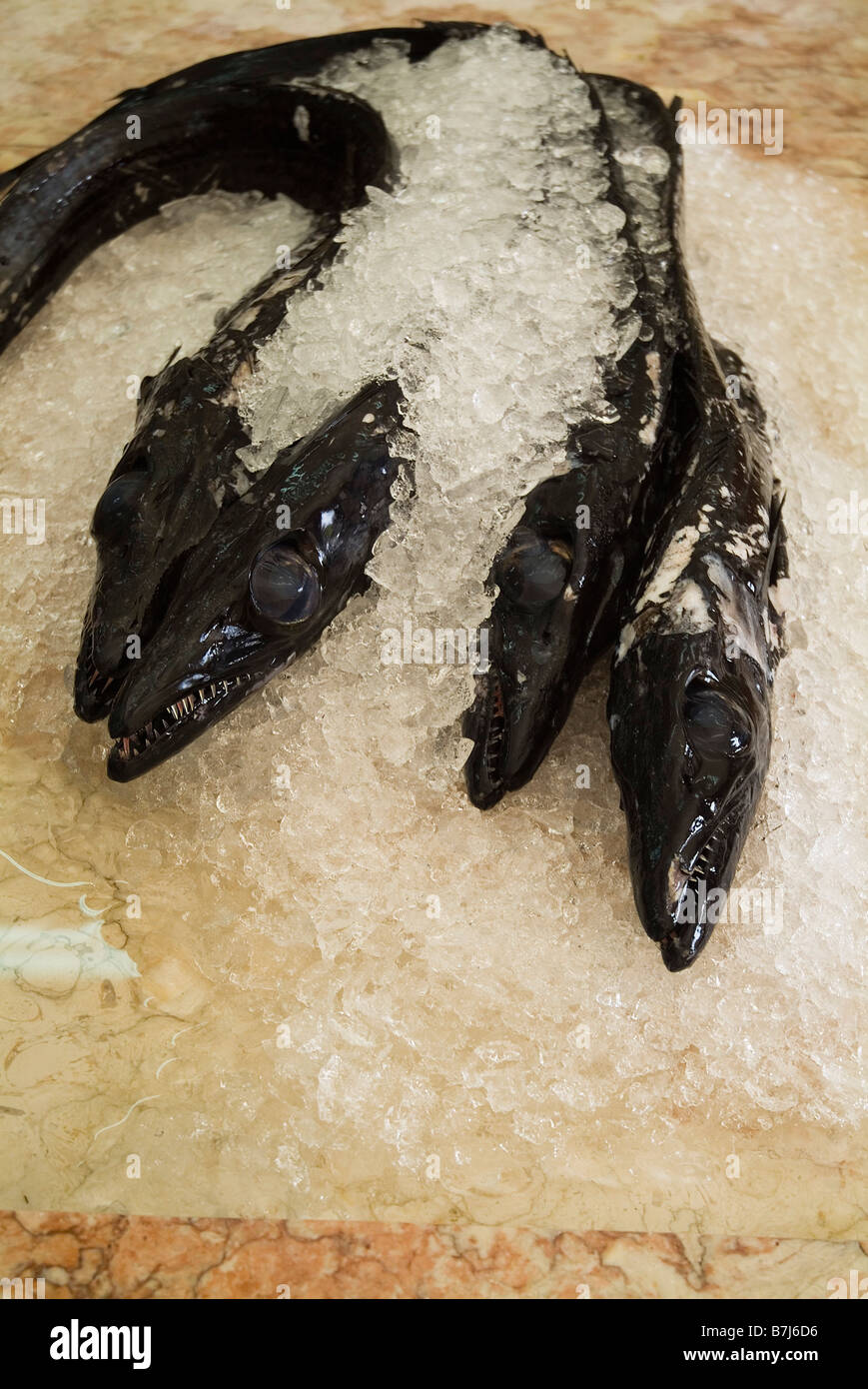 dh Black scabbard Espada FISH MADEIRA Fish on ice market stall catch deep ocean Stock Photo