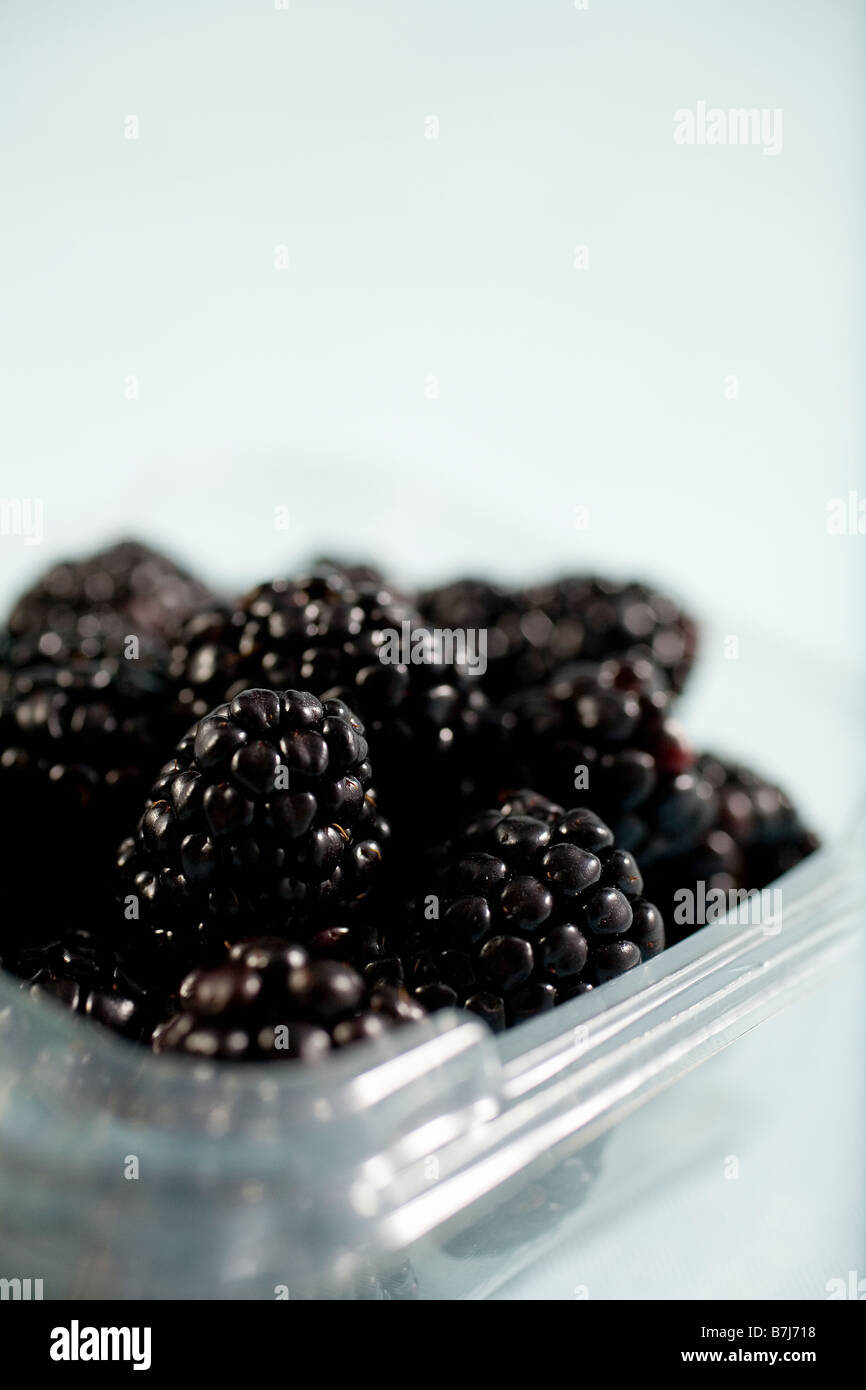Container of blackberries hires stock photography and images Alamy