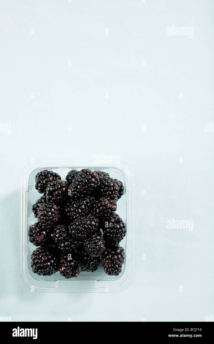 Container of blackberries hires stock photography and images Alamy