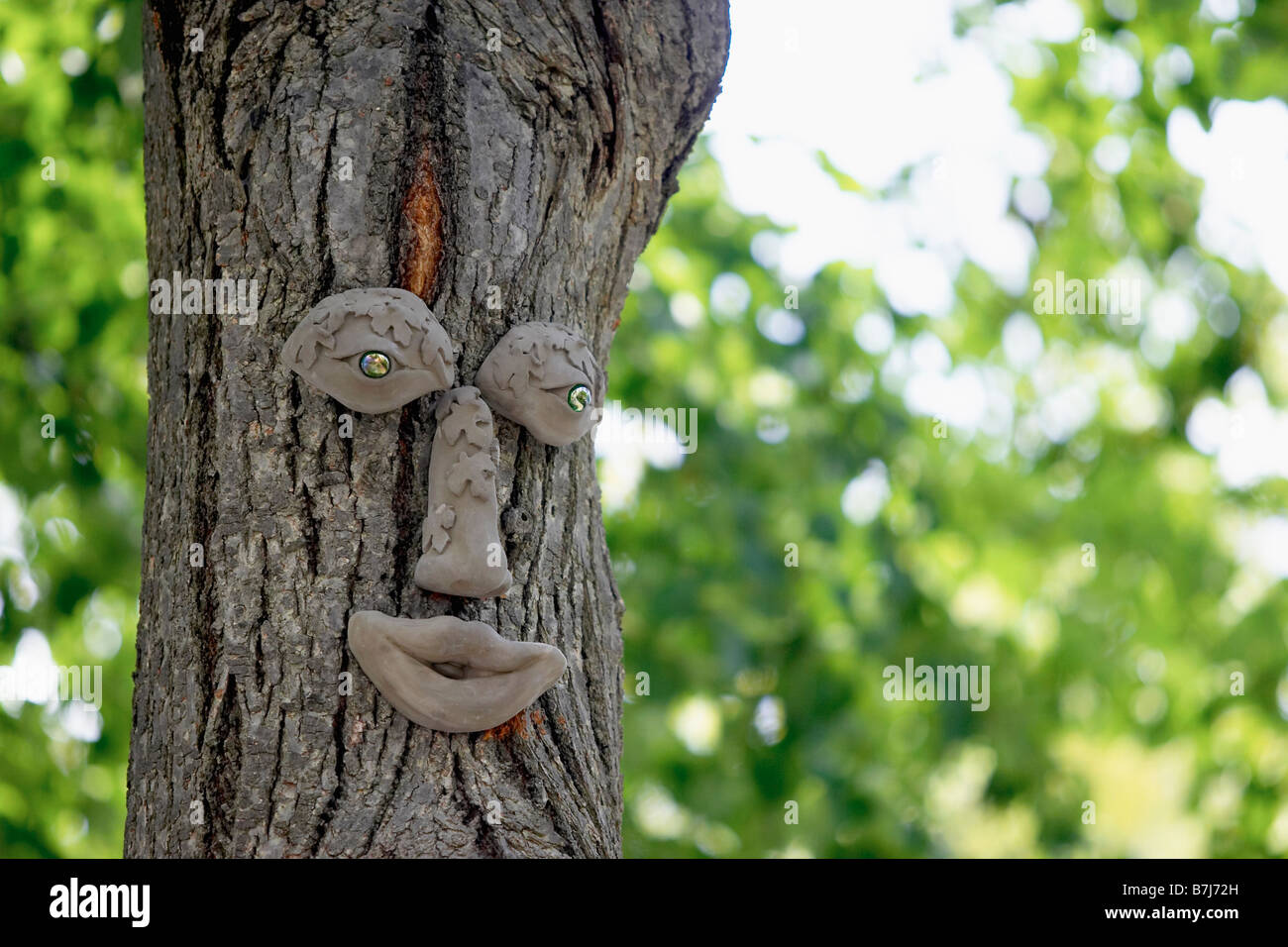 Tree trunk with eyes, nose, and mouth, Burlington, Ontario Stock Photo Alamy
