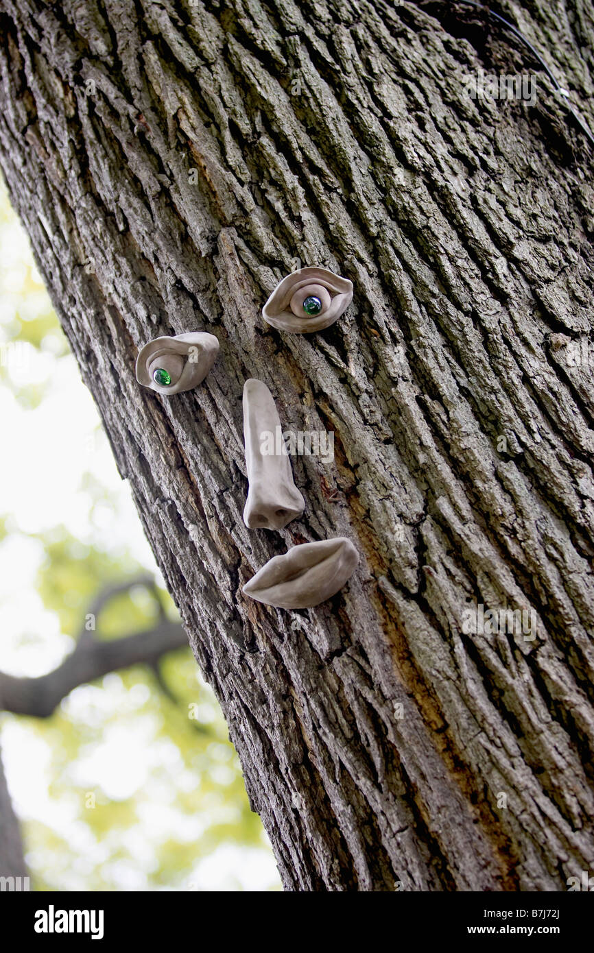 Tree trunk eyes nose mouth hires stock photography and images Alamy