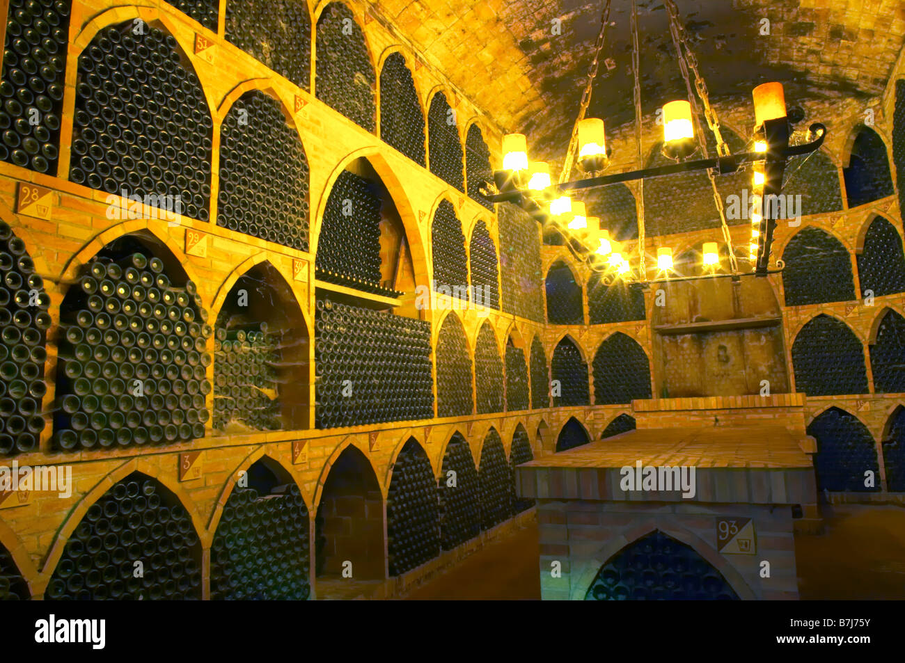 The wine library cellar with old dusty cobweb bottles. Bottles aging in