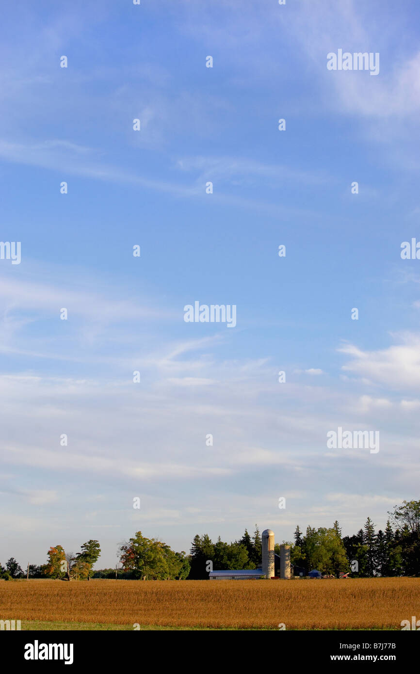 Drumbo hires stock photography and images Alamy