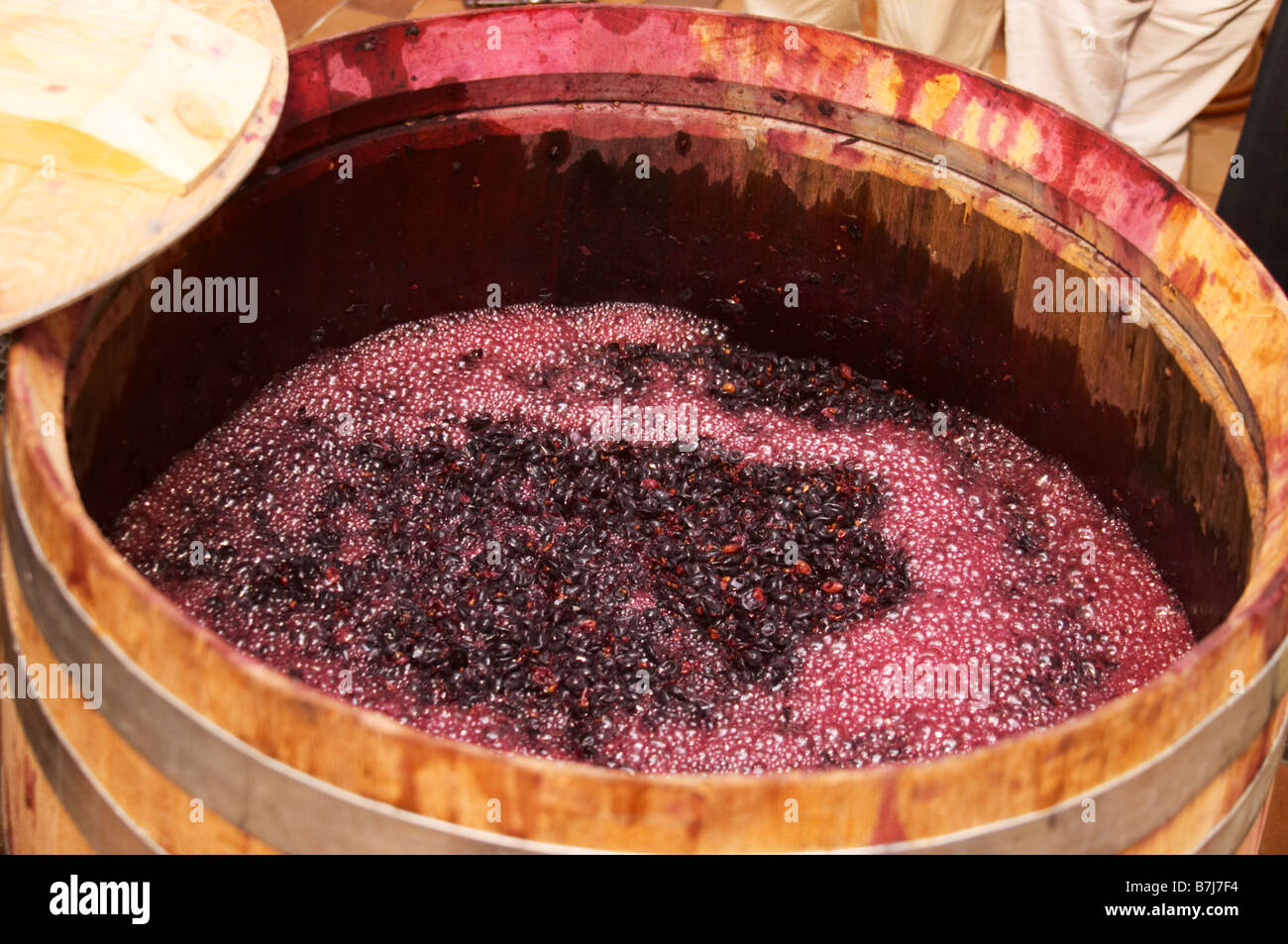 Ферментация вина. Маннитное брожение вина. Мацерация винограда. Брожение сусла вина. Мацерация виноградного сусла.
