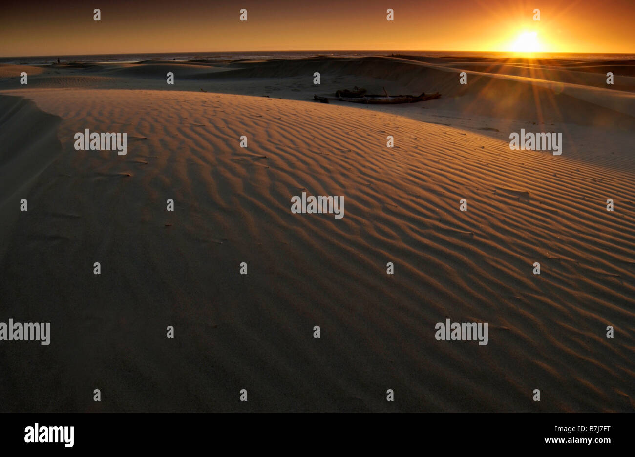 Sand Dunes at sunset, Oregon Dunes National Recreation Area Stock Photo