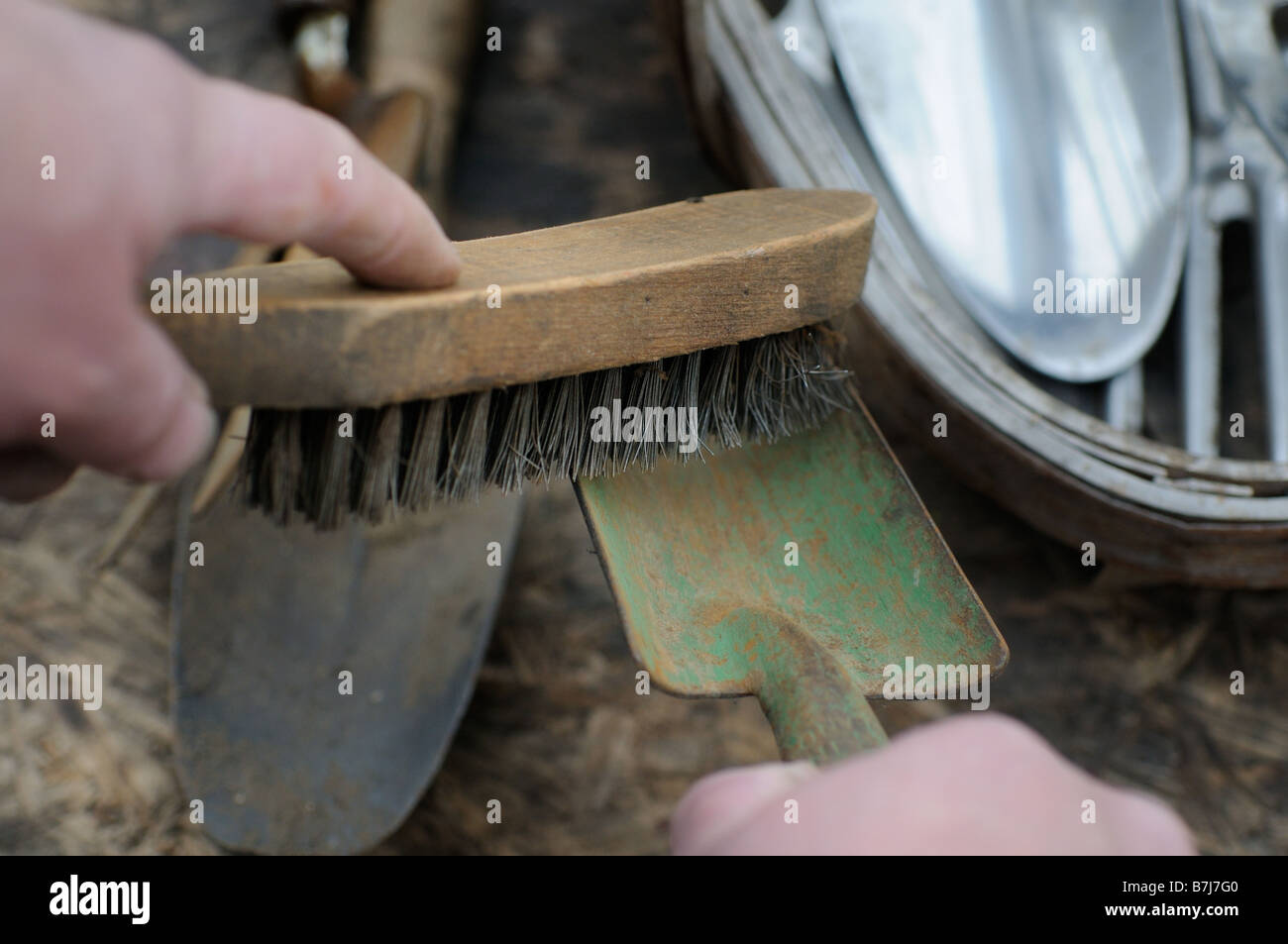 Cleaning gardening hand tools with wire brush Stock Photo