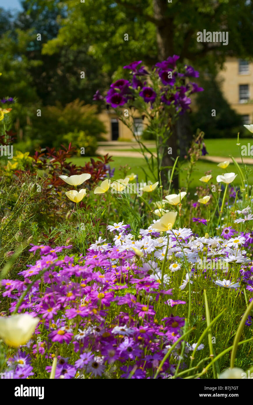 college-garden-hi-res-stock-photography-and-images-alamy