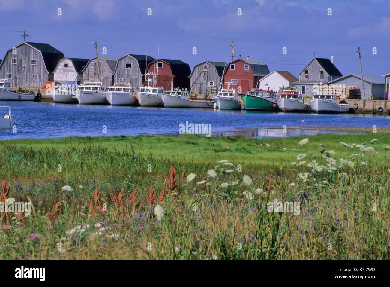 Malpeque Bay Hi res Stock Photography And Images Alamy Malpeque Bay Hi res Stock Photography And Images Alamy