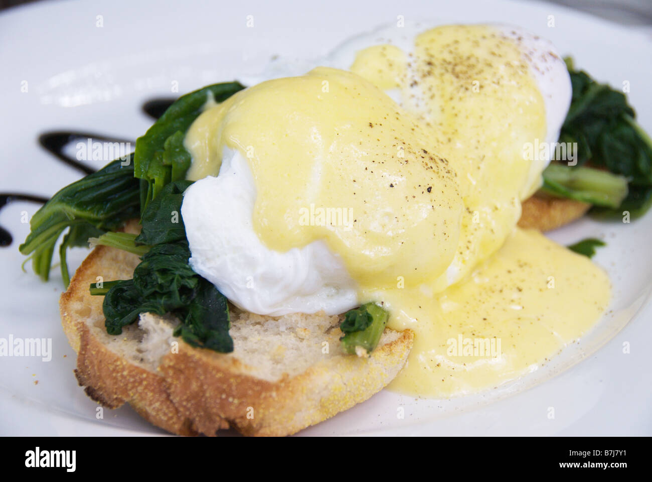Eggs Florentine poached eggs on a bed of steamed spinach on toasted