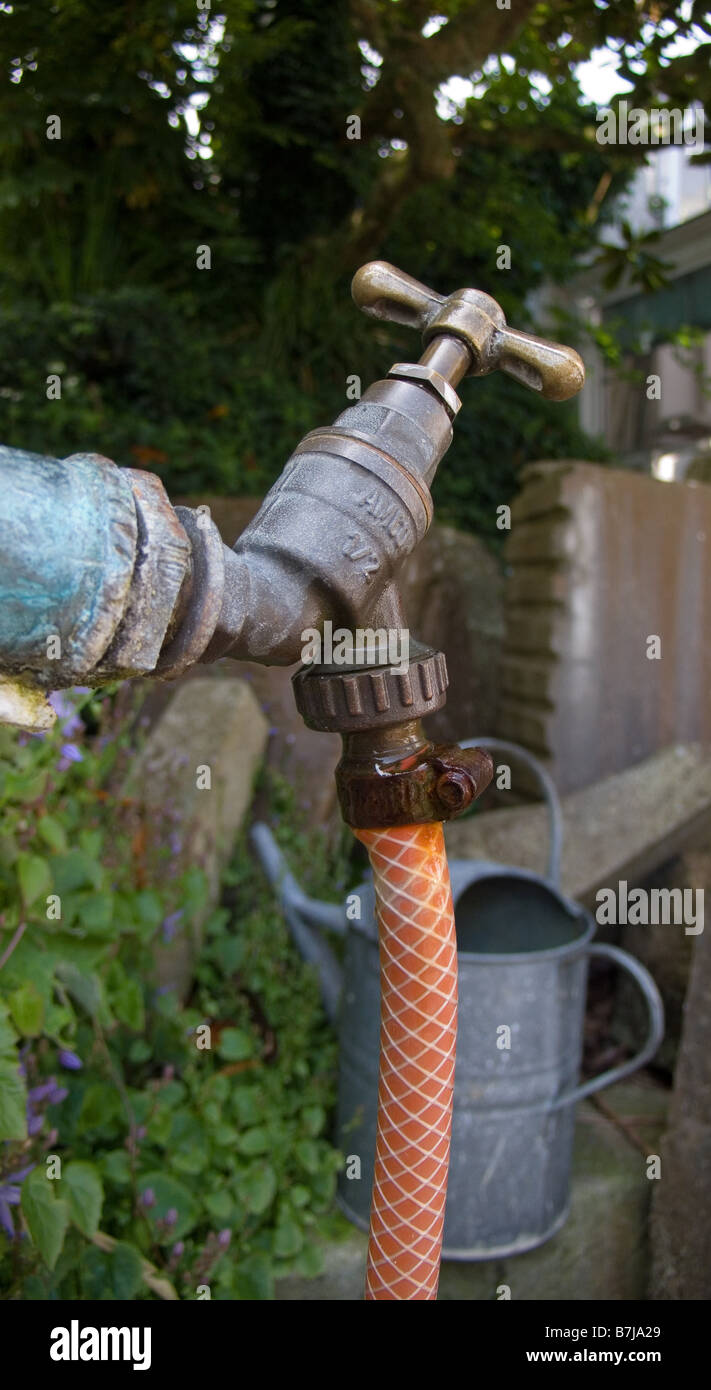 Tap hosepipe and watering can Stock Photo Alamy