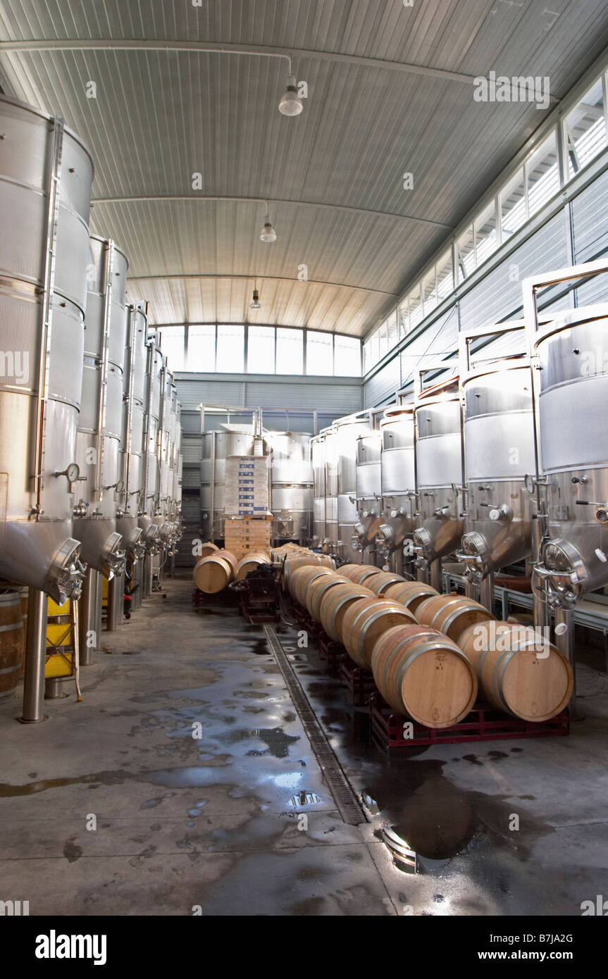 Oak barrel aging and fermentation cellar. Fermentation tanks. Mas ...