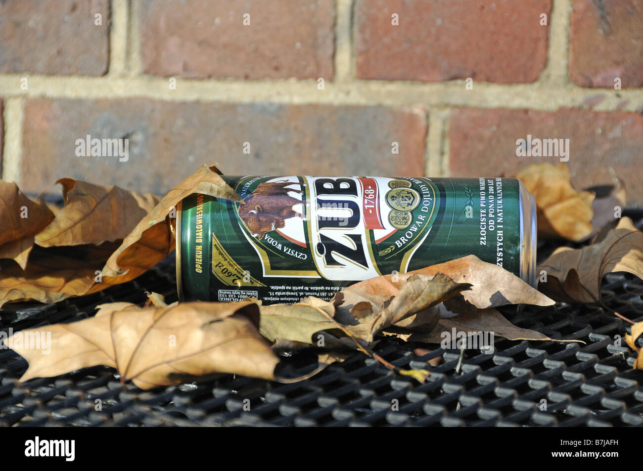 Empty tin of Zubr beer thrown amongst leaves Stock Photo