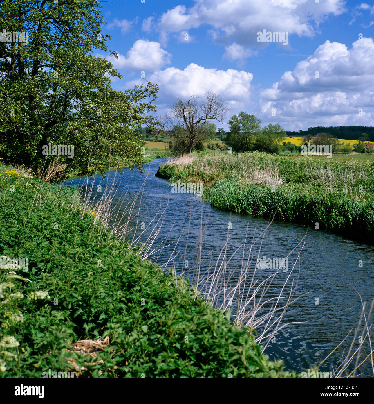 River Stour Wormingford Essex UK Stock Photo Alamy