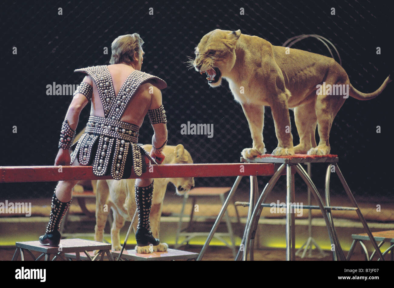 Circus lion hires stock photography and images Alamy