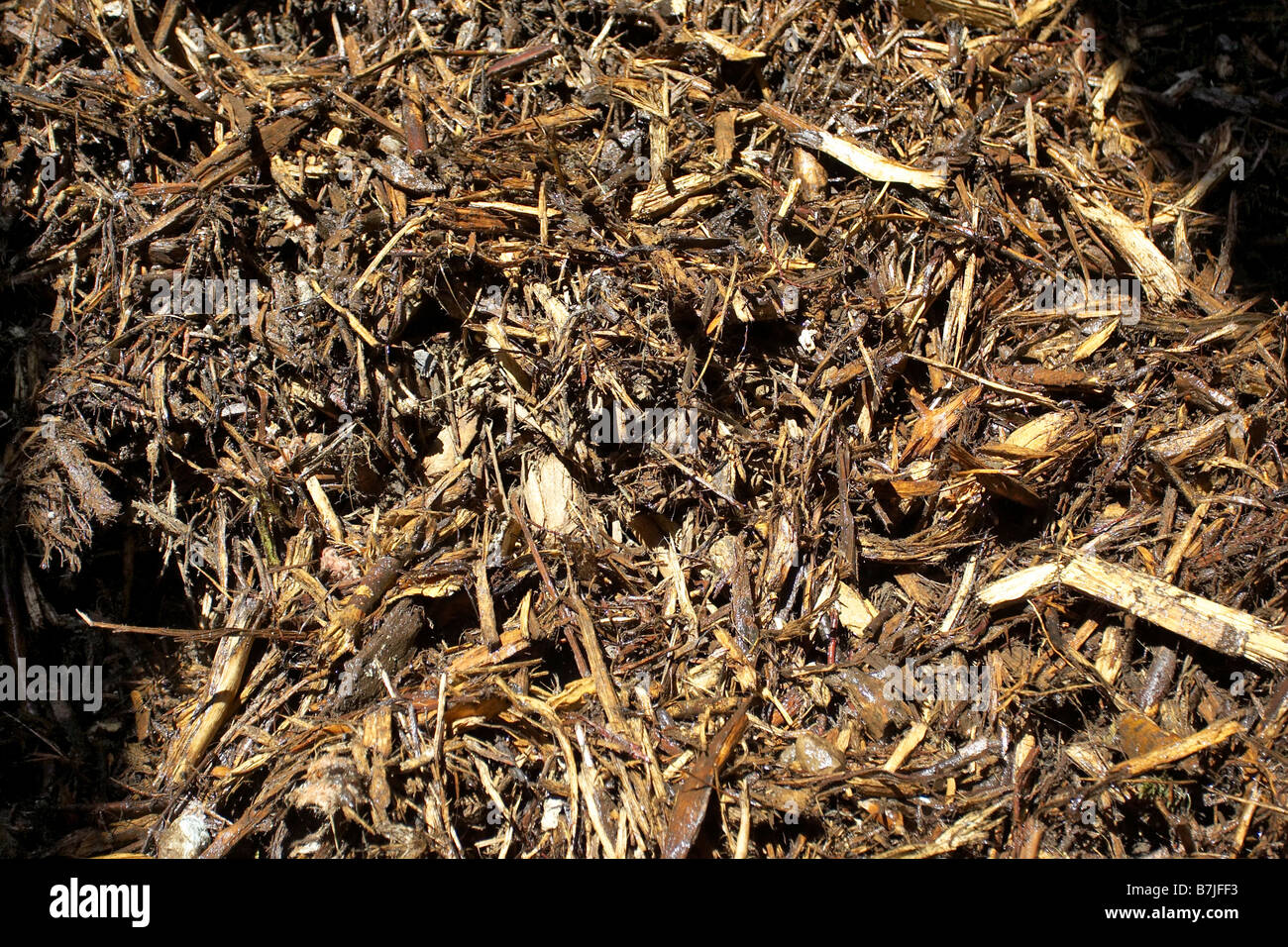Pile of wood chips; Canada, Ontario, Hamilton Facility Stock Photo Alamy