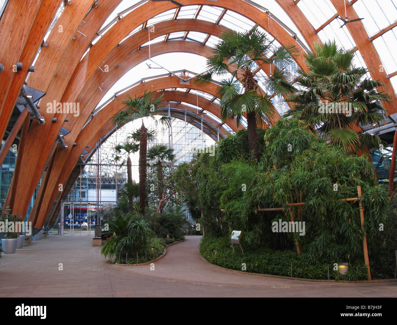 Winter Garden, Sheffield Stock Photo