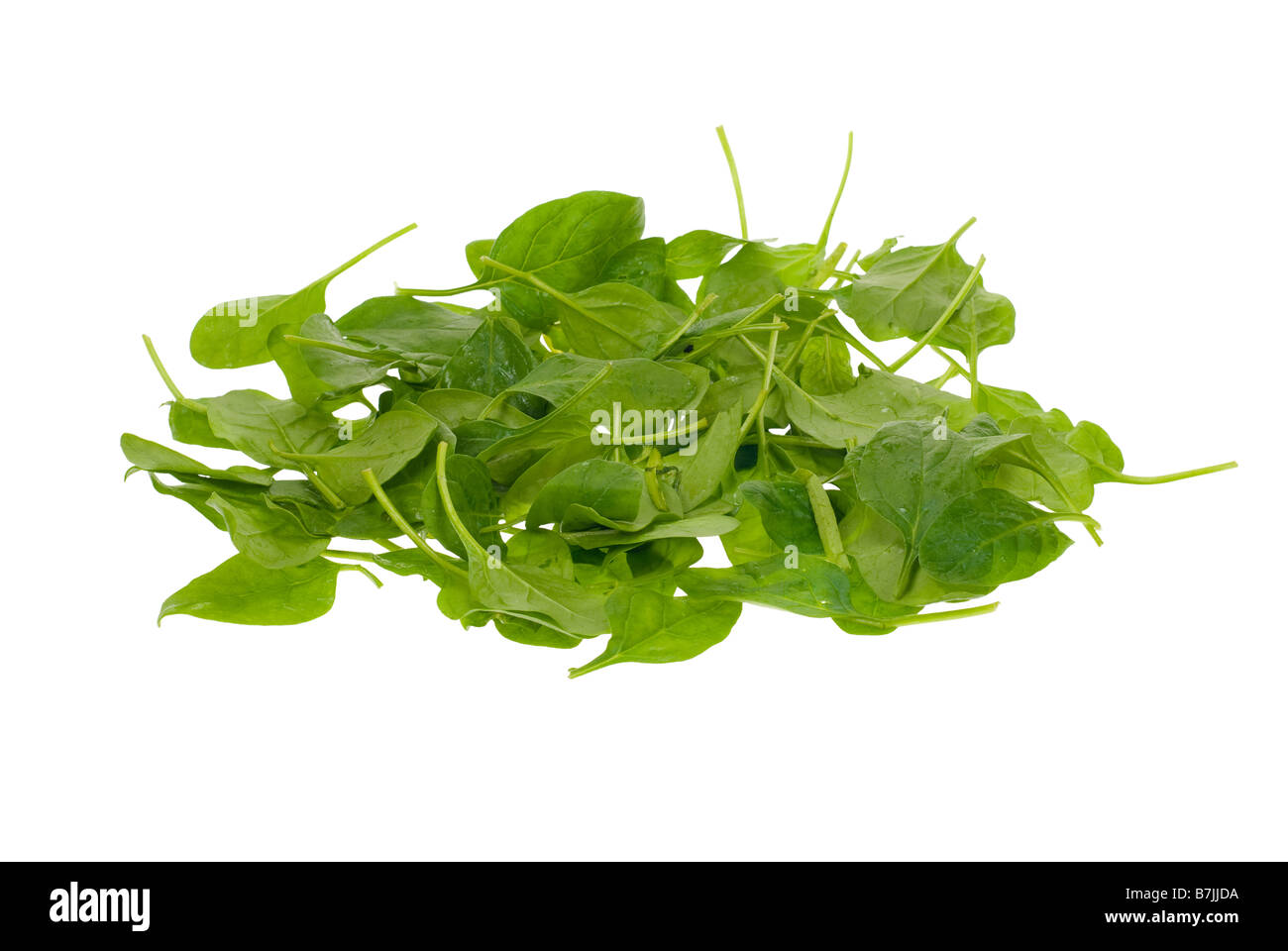 fresh spinach leaves isolated on a white background Stock Photo - Alamy